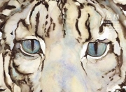 海星直播-江南暴熊队对阵渝州雪豹队，赛艇锦标赛读秒绝平，门将神扑救主——逆风翻盘的范本的简单介绍